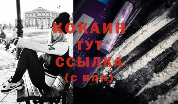 индика Магадан