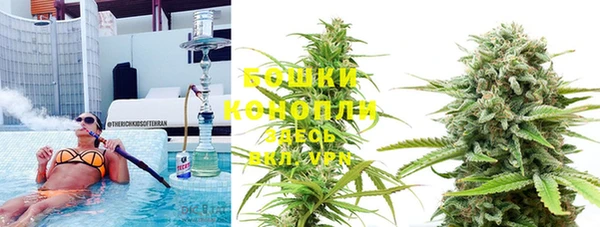 эйфоретик Майский