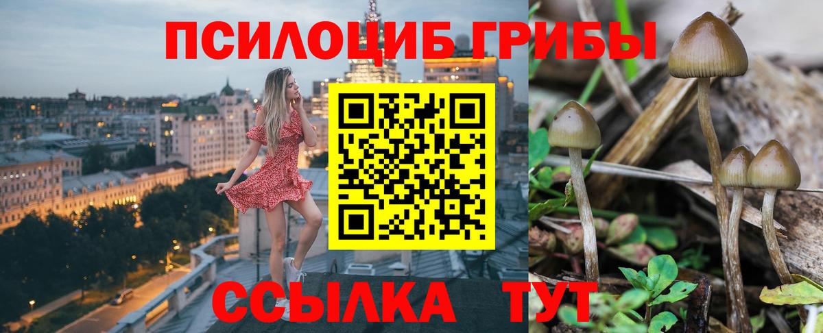 Галлюциногенные грибы прущие грибы  Псилоцибиновые грибы Cubensis  Вход с VPN  Санкт-Петербург 