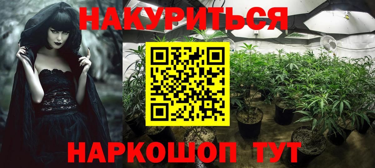 Бошки марихуана марихуана Санкт-Петербург